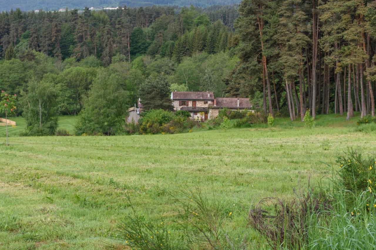 Moulin Des Comtes - Chambre Des Comtes Viverols Dış mekan fotoğraf